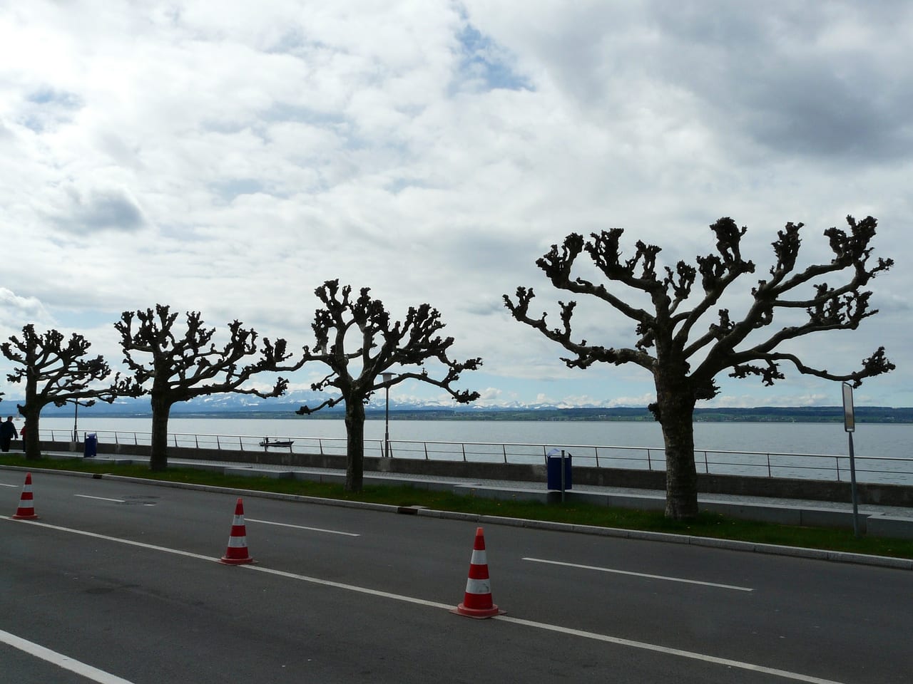 静岡市駿河区 久能山いちご海岸通り でいちご狩りがスタートしました 号外net 静岡市駿河区